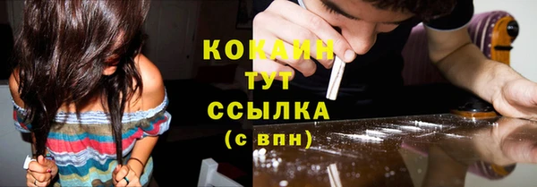 дживик Остров
