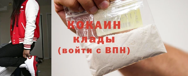 прущие грибы Болохово