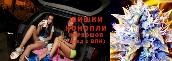 гидропоника Осинники
