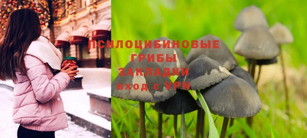 героин Болотное