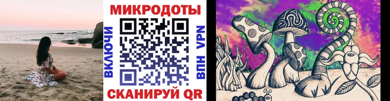 где найти наркотики  Собинка  Псилоцибиновые грибы Psilocybe 